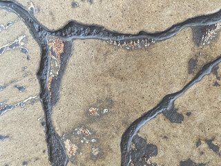 Seamless black marble with gold texture pattern. Black marble texture background. Nature abstract dark grey marble texture background. Luxury black and gold surface of stone texture