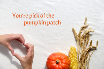 Text You are pick of the pumpkin patch. Flat lay with orange Hokkaido pumpkin and dry wheat ears on...
