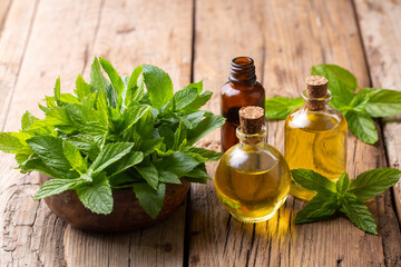 Fresh green mint and mint oil