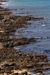 côte rocheuse de Belle Ile