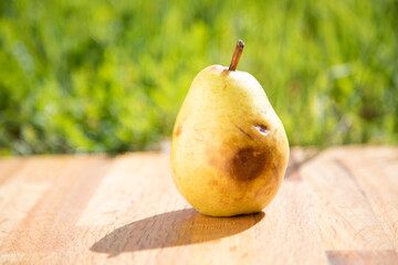 Ripe yellow Bartlett pear with bruised skin on wooden board