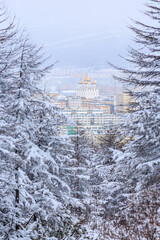 Winter landscape with snow-covered trees and city. View from the forest to the cathedral and residential buildings. Snow on the branches of larch trees. Magadan, Magadan Region, Siberia, Russia.
