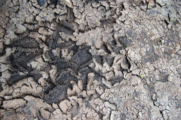 Drought cracked ground, soil background