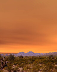 Sonora Desert Arizona Sunset