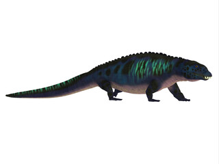Placodus Reptile Walking - Placodus was a carnivorous marine reptile that lived during the Triassic Period Of Europe and China.