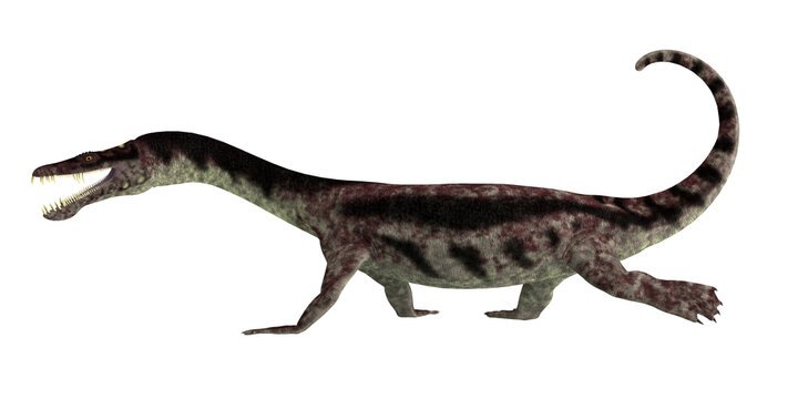 Nothosaurus Reptile Walking - Nothosaurus was a carnivorous marine reptile that lived in the seas during the Triassic Period.