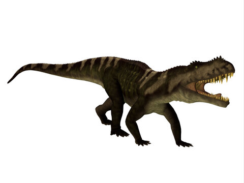 Prestosuchus Reptile Walking - Prestosuchus was a carnivorous archosaur predator that lived in the Triassic Period of Brazil.