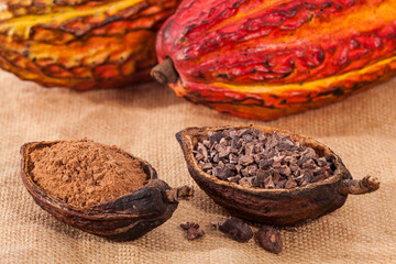 Theobroma cacao - Dried Crushed Cocoa Beans With Fruit