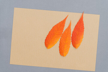 three small bright yellow orange leaves on beige paper background