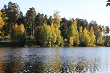 beautiful calm autumn landscape with colorful trees on river in sunny day with blue sky