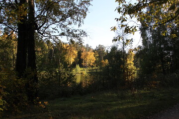 beautiful calm autumn landscape with colorful trees on river in sunny day with blue sky