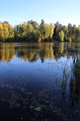 beautiful calm autumn landscape with colorful trees on river in sunny day with blue sky