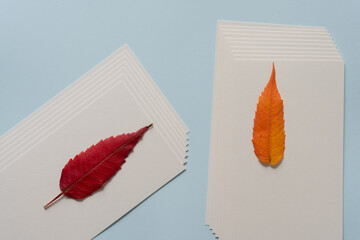 leaves on paper