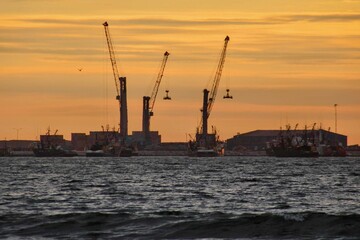 Obraz premium cranes at sunset