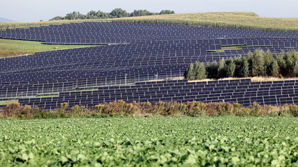 Farma ekologicznych paneli słonecznych na polanie. 