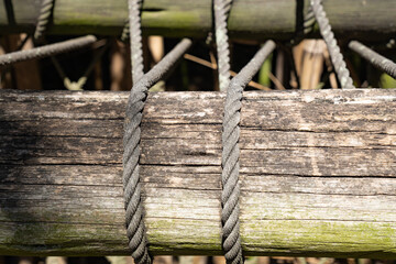 a log with intertwined ropes