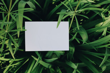 Blank paper postcard lay on green leaves, natural greeting card mock up