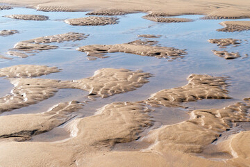 amazing, amazing landscape, bahia, bahia beach, bahia brazil, beautiful, blue, clear water, coast, coast line, coconut tree, crystal, environment, horizon, horizontal lines, iconic, idyllic, idyllic b