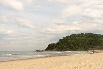 ponta da praia com árvores