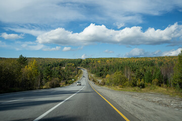 Naklejka premium Landscape with a motorway in the middle of an autumn forest