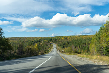 Landscape with a motorway in the middle of an autumn forest