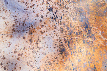 Texture detail of rock with rust colors and spots