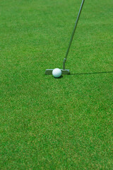 골프, 그린, 홀컵, 퍼터, 퍼팅,골프장