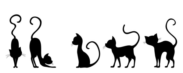 Set of silhouettes of elegant cats on a white background