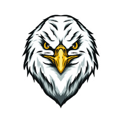 Eagle head illustration