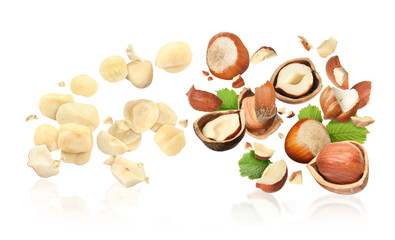 Fototapeta na wymiar Pieces of tasty hazelnuts falling on white background