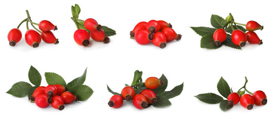 Set with ripe rose hip berries on white background. Banner design