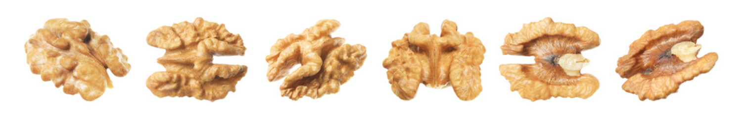 Set with tasty walnuts on white background. Banner design