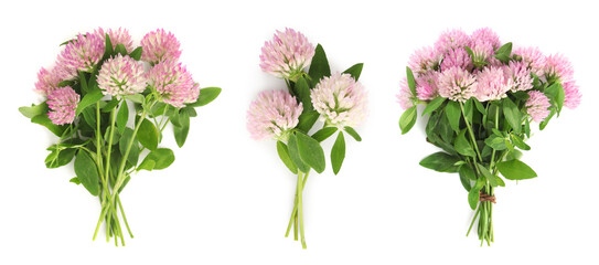 Set with beautiful clover flowers on white background, top view. Banner design