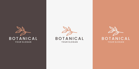 minimalist beauty botanic logo design vector with line art style