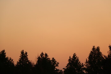 岡山県総合グラウンドの夕焼け