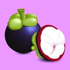 Vector illustration of mangosteen on pink background.