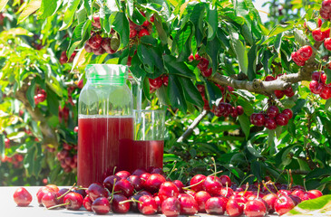 Freshly harvested ripe fleshy sweet cherry berries and decanter of juice on table under green...