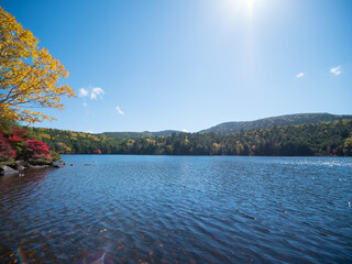 長野・紅葉の白駒の池