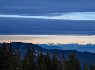 A view of a forest with snow covered mountains