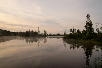 Fototapeta premium A view of a calm lake in the morning