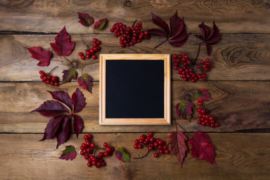 Rustic square frame mockup with viburnum berries