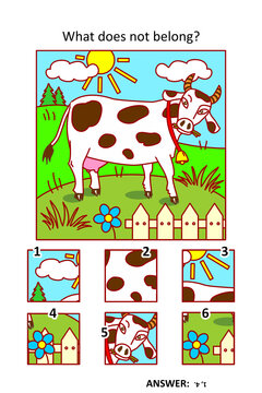 Visual puzzle with picture fragments. Milk cow grazing on the pasture. What does not belong?
