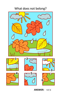 Visual puzzle with picture fragments. Autumn, rain, falling leaves, puddle. What does not belong?
