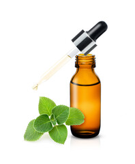 essential oil and herbs mint leaf