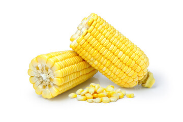 corn isolated white