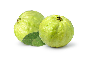 green guava isolated on white