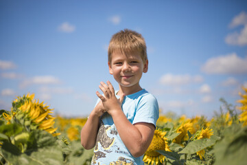 Happy child field Freedom and happiness concept on sunflower outdoor. Kid having fun in green spring field against blue sky background. Healthy and active lifestyle concept
