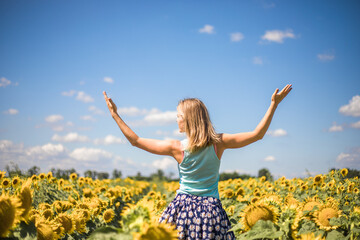 Naklejka na ściany i meble Beauty sunlit woman on yellow sunflower field Freedom and happiness concept. Happy girl outdoors
