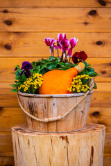 Autumn garden decorations. Pumpkins and heathers on a wooden background in the terrace.