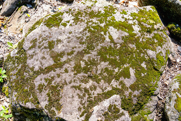 Huge cobblestone covered with moss as a natural background